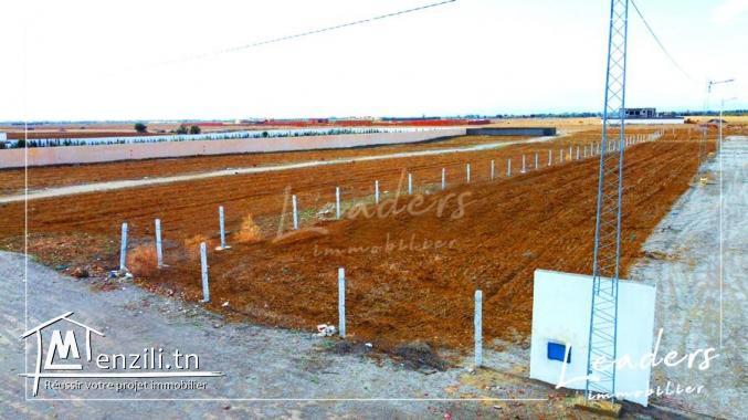 A VENDRE des terrains au hammamet sud