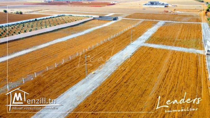 A VENDRE des terrains au hammamet sud