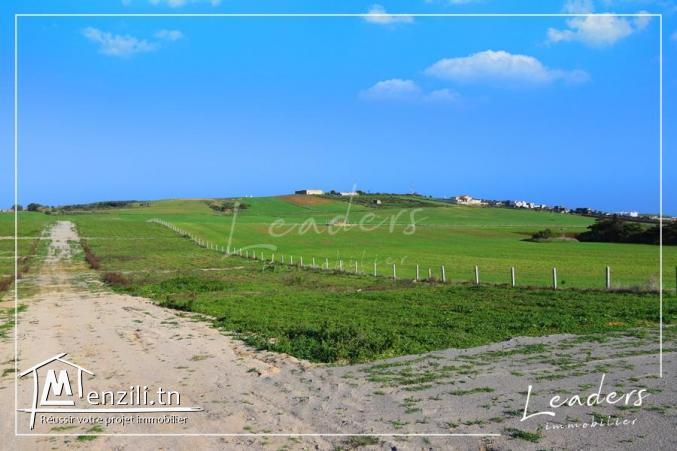 فرصة أرض للبيع بقلبية27246333????☎