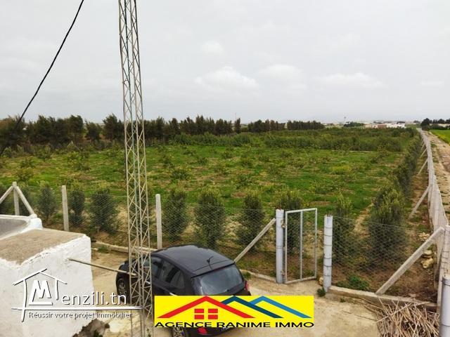 Ferme de 1 hect et 5500m2 a el haouaria cap bon