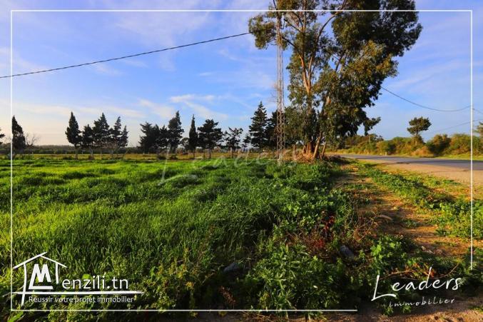 #للبيع #ارض مسجلة في كركوان #قليبية27246333☎☎