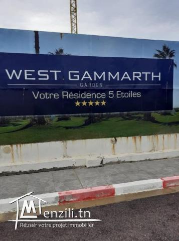 *** Terrain d'exception ***