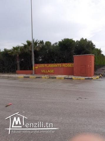 *** Terrain d'exception ***