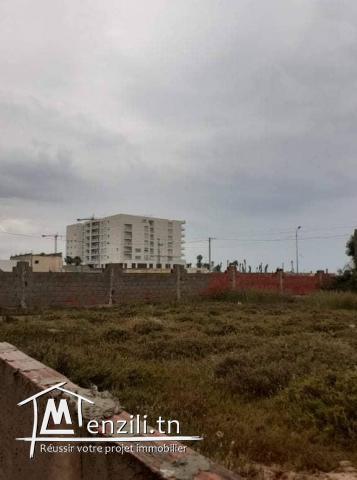 *** Terrain d'exception ***