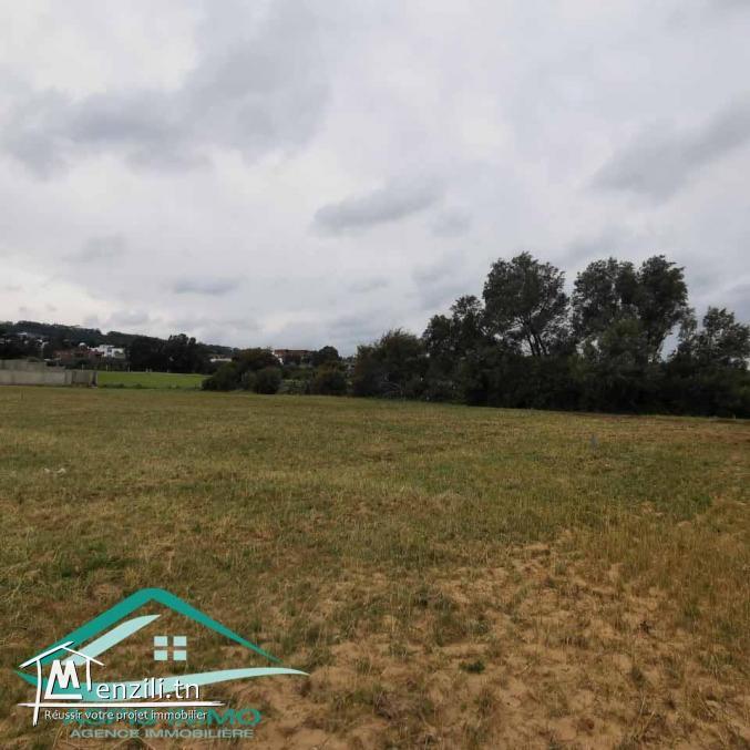 VT710:Des terrains d’habitation à 250 mètres de  plage Ezzahra
