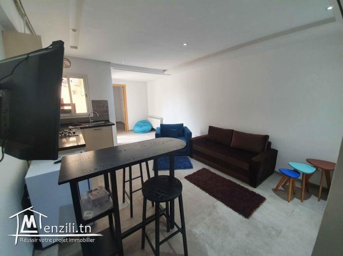 s+1 meublé Ennaser