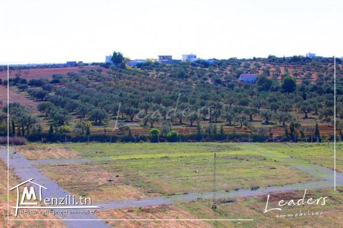 فرصة أرض للبيع بالحمامات 27246333☎☎