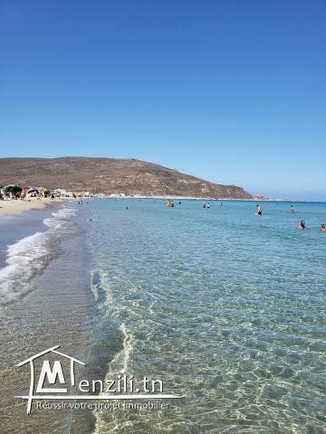 Terrain pied dans l'eau à el haouaria