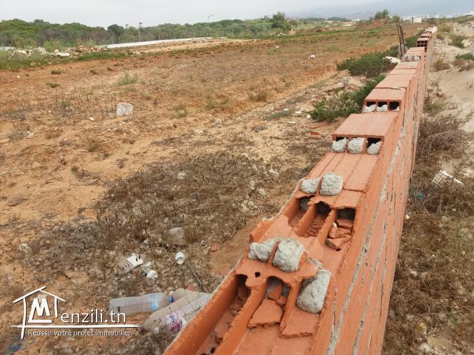 Terrain pied dans l'eau à el haouaria