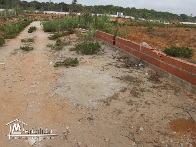 Terrain pied dans l'eau à el haouaria
