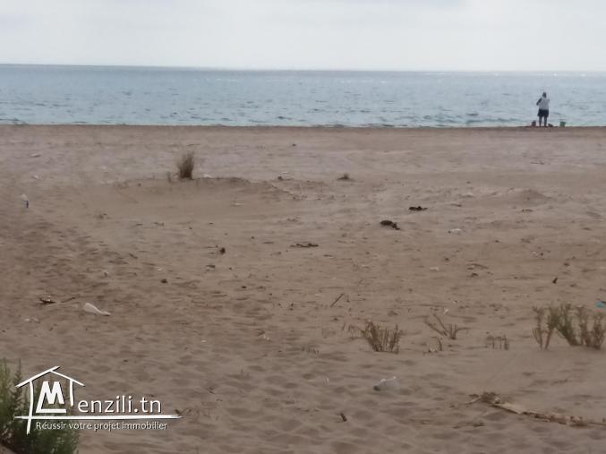 Terrain pied dans l'eau à el haouaria