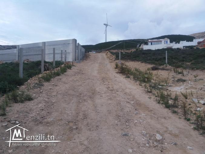 Vente terrain cis a Metline el Demna Ras jbel