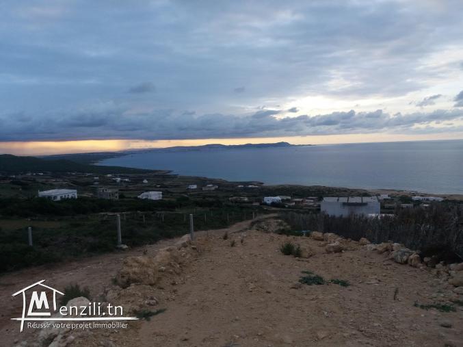 Vente terrain cis a Metline el Demna Ras jbel