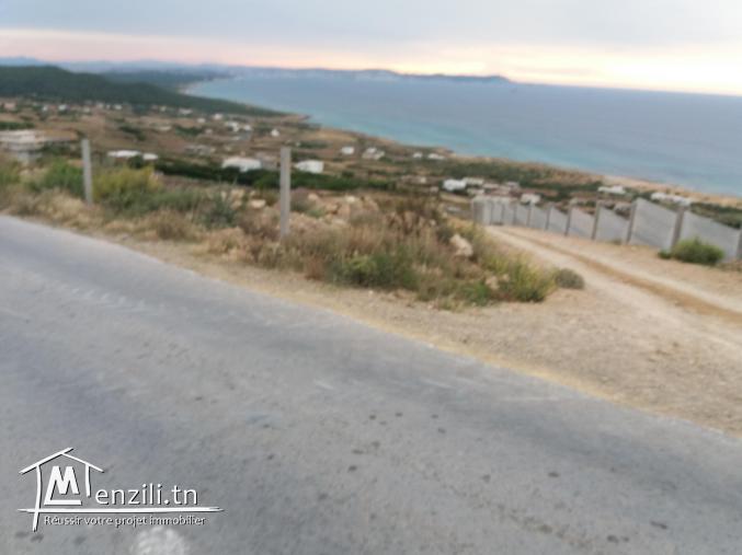 Vente terrain cis a Metline el Demna Ras jbel