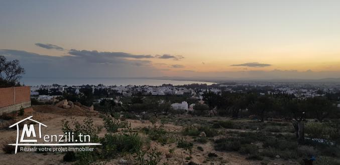 La belle plus vue sur le Golfe d'Hammamet