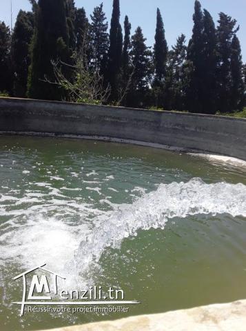 Une très belle ferme de 4 hectares à Soliman