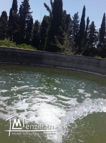 Une très belle ferme de 4 hectares à Soliman