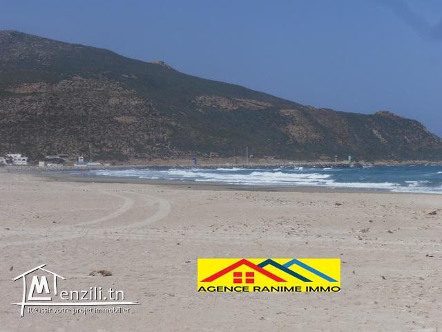 Lots des terrains de 583m2 et 250m2 a la plage el haouaria