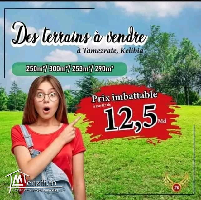 terrain a vendre à hamem ghzez