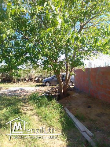 terrain a vendre a MORNEG EL ALELGA