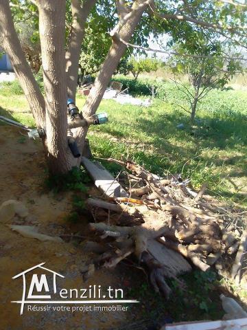 terrain a vendre a MORNEG EL ALELGA