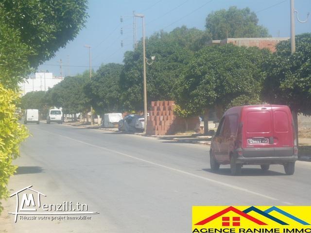 Terrain ds 310m2 direction de la plage haouaria