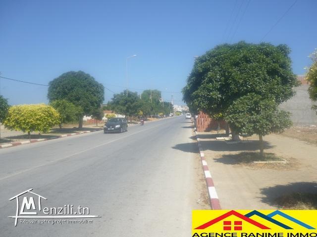 Terrain ds 310m2 direction de la plage haouaria