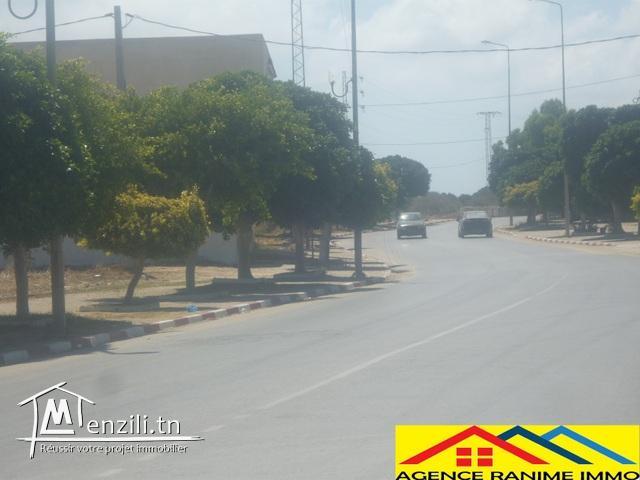 Terrain ds 310m2 direction de la plage haouaria