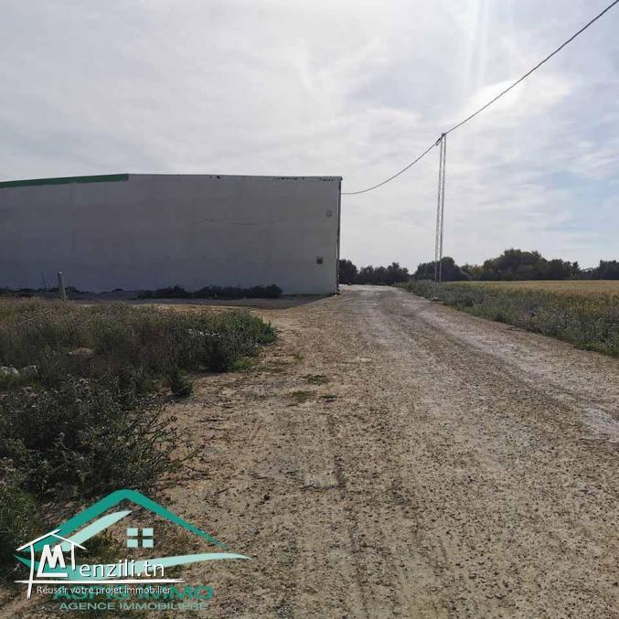 VT715:Terrain d’habitation 302 m²  à cité el bostene Kelibia