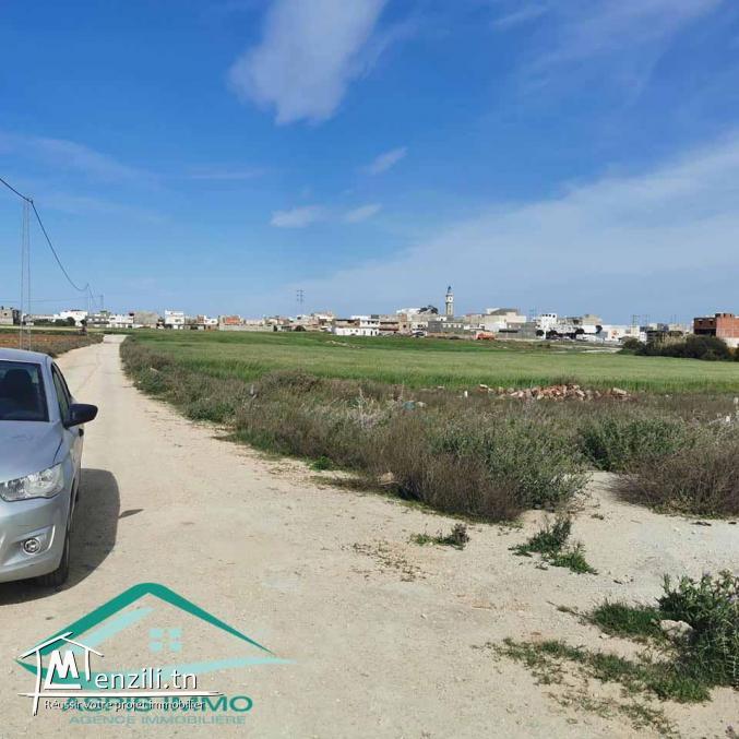VT715:Terrain d’habitation 302 m²  à cité el bostene Kelibia