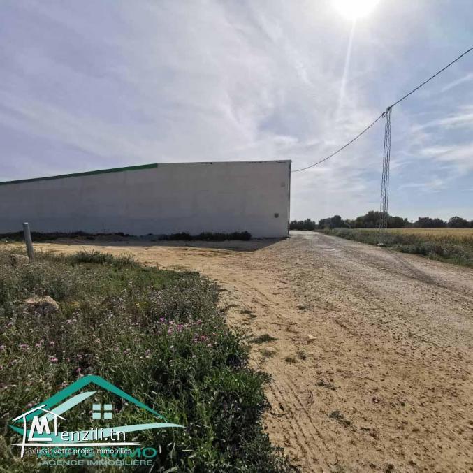 VT715:Terrain d’habitation 302 m²  à cité el bostene Kelibia