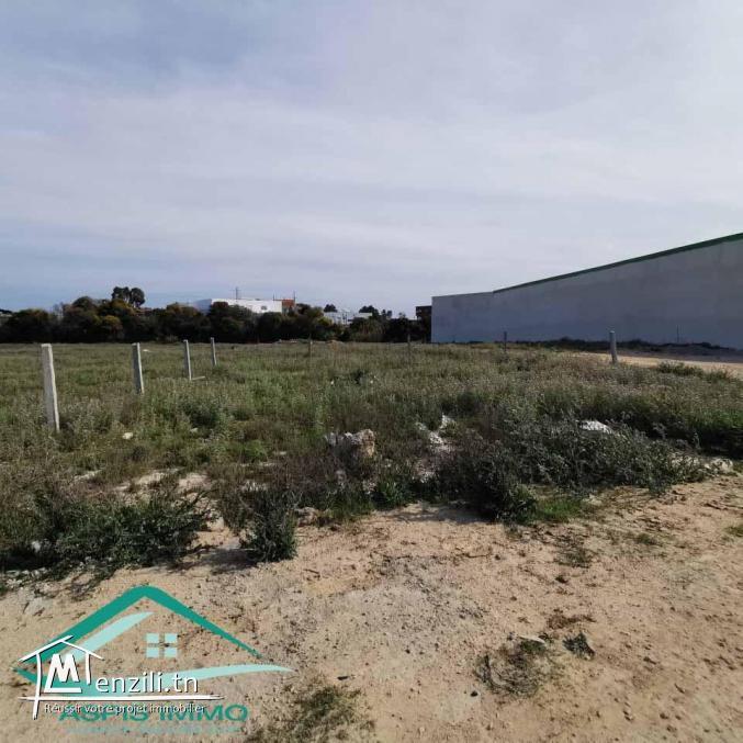 VT715:Terrain d’habitation 302 m²  à cité el bostene Kelibia