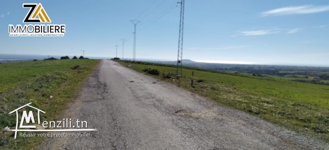 terrain à vendre à tamzrat 2 km à kélibia