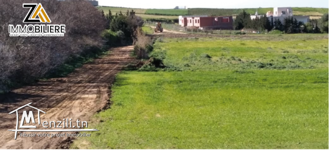 terrain à vendre à tamzrat 2 km à kélibia