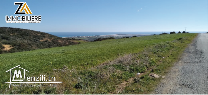 terrain à vendre à tamzrat 2 km à kélibia