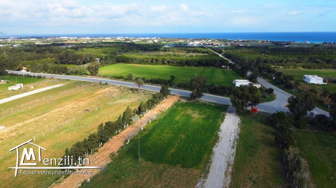 ارض في كركوان  قليبية