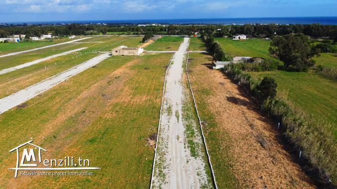 ارض في كركوان  قليبية