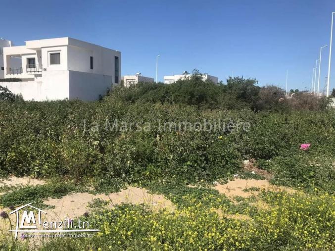 A Vendre terrain de 500m² à Chotrana