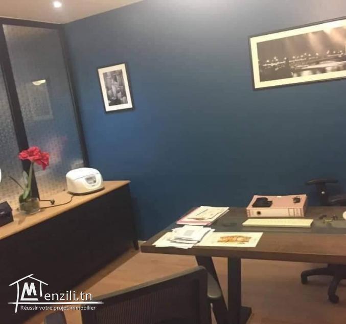 a louer s+4 a usage professional