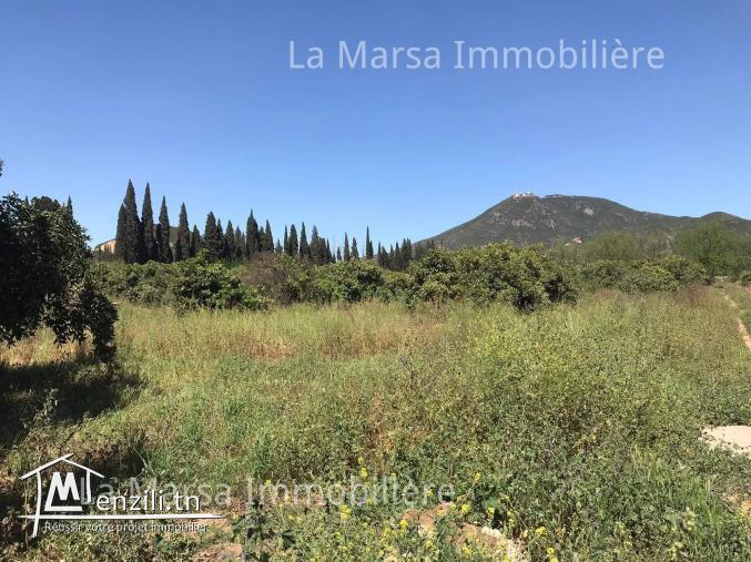 A Vendre un terrain de 1000m² à Mornag, Tunis