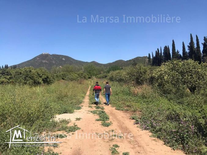 A Vendre un terrain de 1000m² à Mornag, Tunis