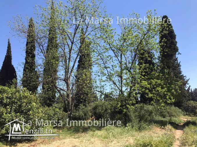 A Vendre un terrain de 1000m² à Mornag, Tunis