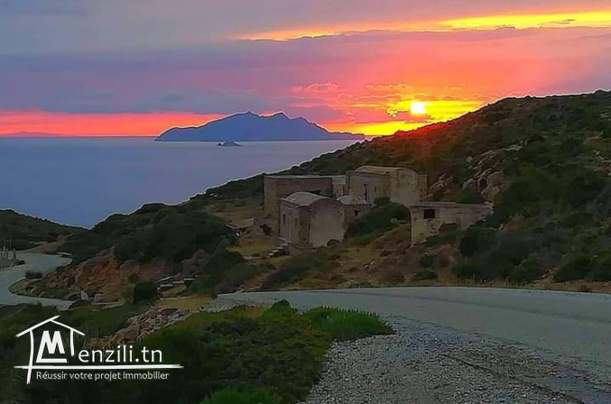 Terrain de 300m² ds cartier urbaine a el haouaria