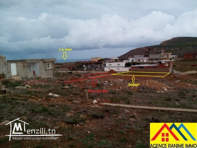 Terrain de 300m² ds cartier urbaine a el haouaria