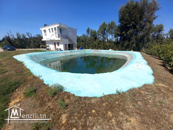 TERRAIN AGRICOLE  DE 6 HECTARES A VENDRE