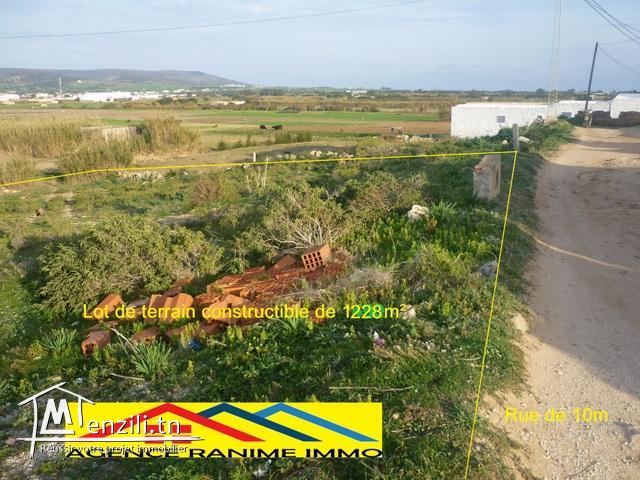 Terrain de 1228m2 de belle vue  el haouaria cap bon