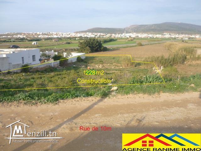 Terrain de 1228m2 de belle vue  el haouaria cap bon