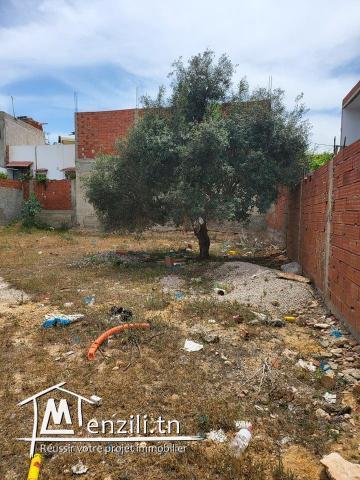 أرض مسيجة من كل الجهات تمسح 380  مربع