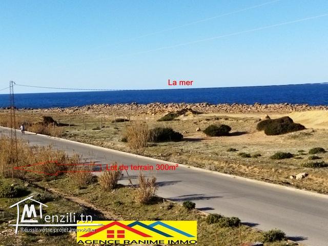 Terrain de 300m2 a la mer el haouaria cap bon