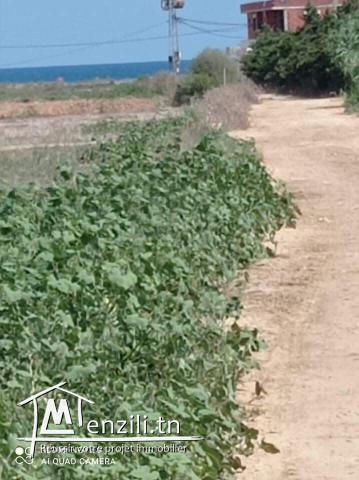 terrain pres de la plage 500m